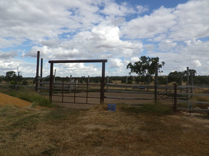 302 Gehardts Lane, Roma QLD 4455