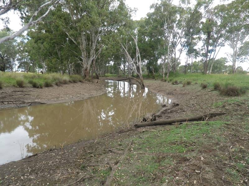 302 Gehardts Lane, Roma QLD 4455