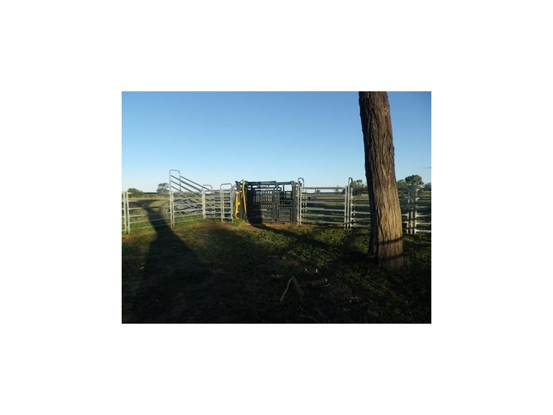 421 Oberina Road, Roma QLD 4455