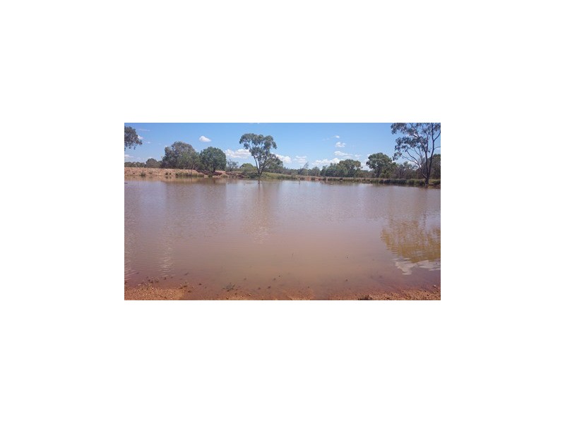 746 Old Charleville Road, Morven QLD 4468