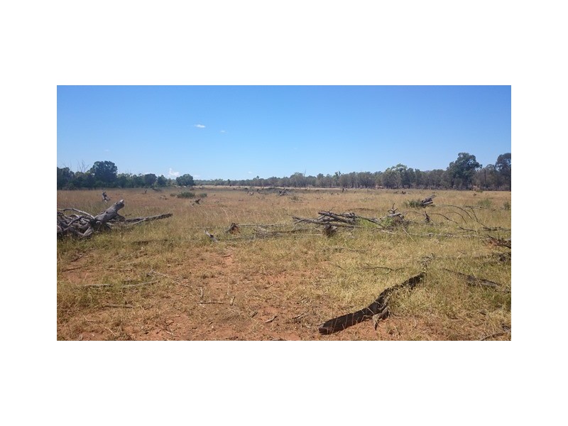 746 Old Charleville Road, Morven QLD 4468