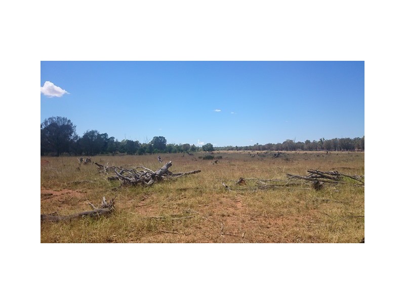 746 Old Charleville Road, Morven QLD 4468