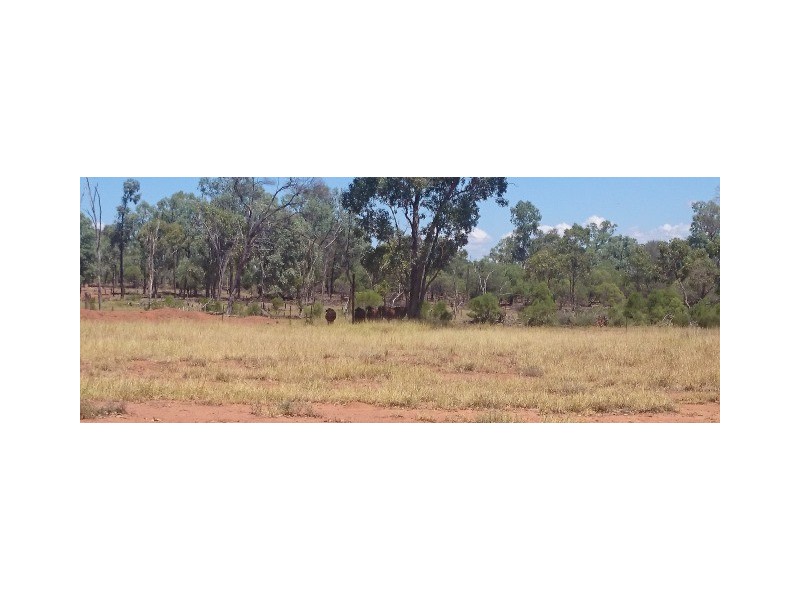 746 Old Charleville Road, Morven QLD 4468