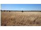 1408 ORALLO ROAD, Bungeworgorai QLD 4455