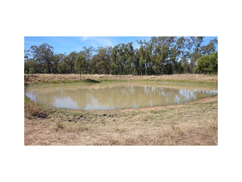 1408 ORALLO ROAD, Bungeworgorai QLD 4455