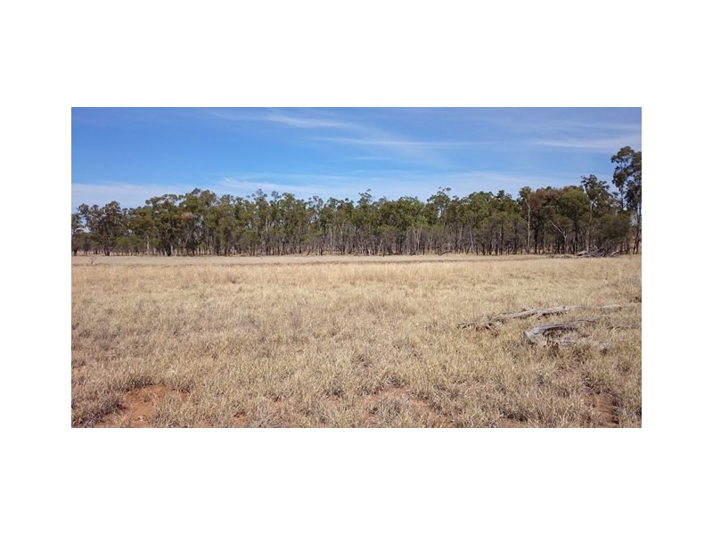 1408 ORALLO ROAD, Bungeworgorai QLD 4455