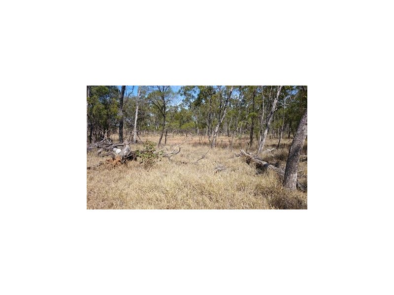 1408 ORALLO ROAD, Bungeworgorai QLD 4455