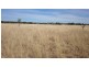 1408 ORALLO ROAD, Bungeworgorai QLD 4455