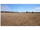 1408 ORALLO ROAD, Bungeworgorai QLD 4455