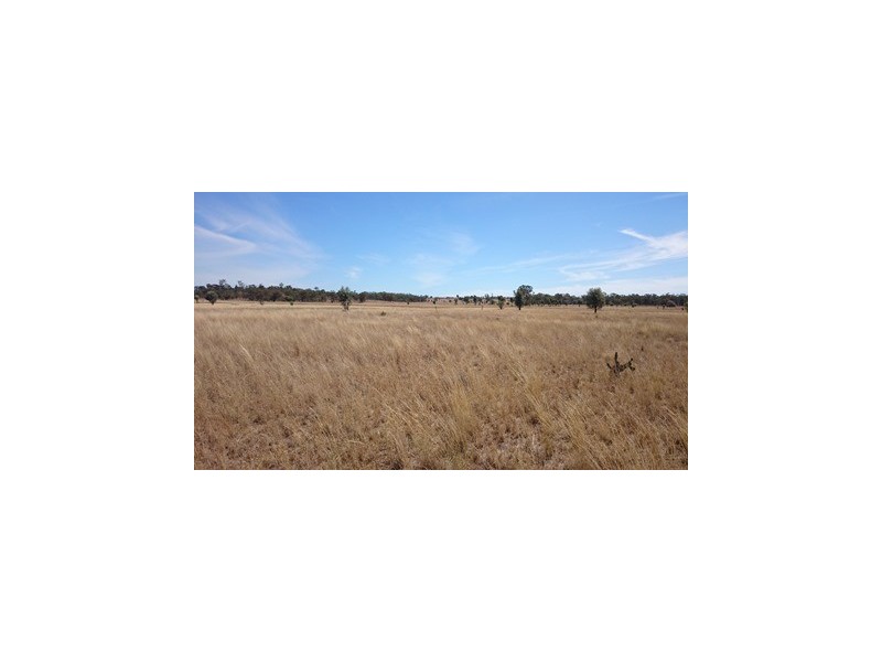 1408 ORALLO ROAD, Bungeworgorai QLD 4455