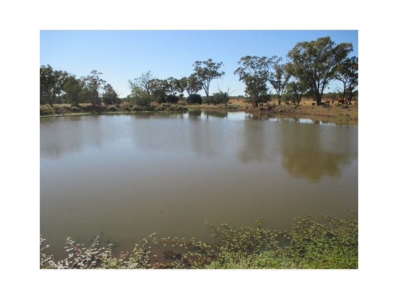 1416 HARTWOOD ROAD, Roma QLD 4455