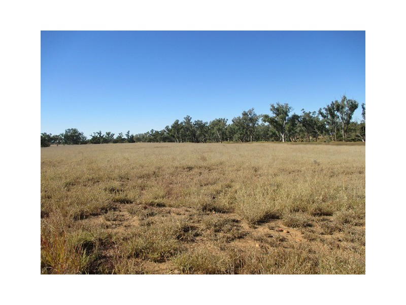 1416 HARTWOOD ROAD, Roma QLD 4455