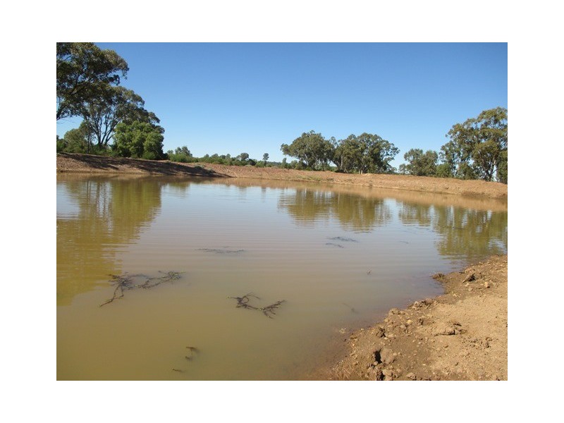 1416 HARTWOOD ROAD, Roma QLD 4455