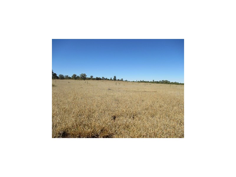 1416 HARTWOOD ROAD, Roma QLD 4455