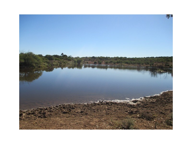 1416 HARTWOOD ROAD, Roma QLD 4455