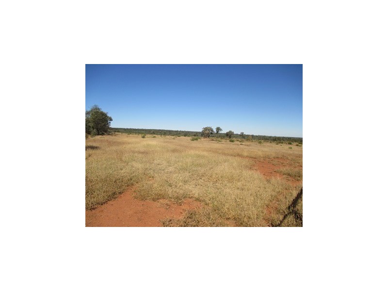 1416 HARTWOOD ROAD, Roma QLD 4455