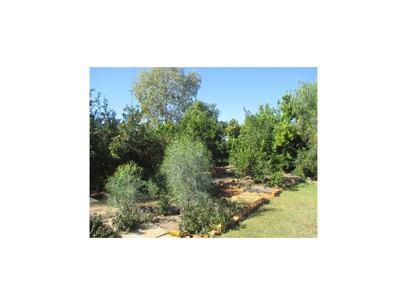 1416 HARTWOOD ROAD, Roma QLD 4455