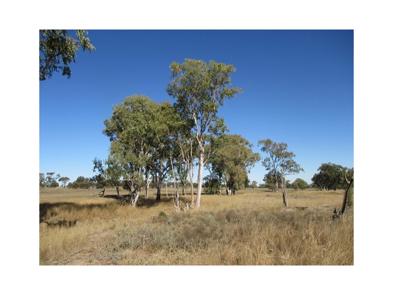 93 BYMOUNT EAST ROAD, Bymount QLD 4455