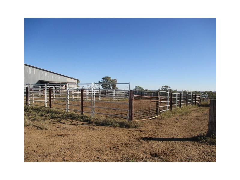 507 BYMOUNT ROAD, Roma QLD 4455