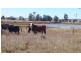 507 BYMOUNT ROAD, Roma QLD 4455