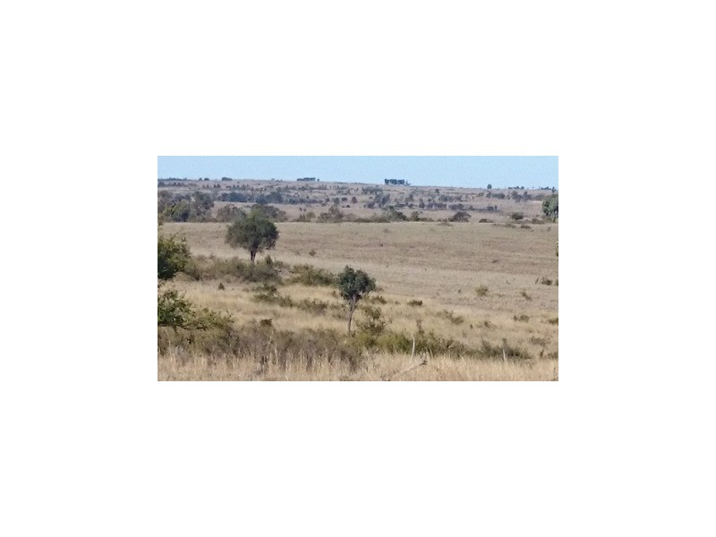 507 BYMOUNT ROAD, Roma QLD 4455