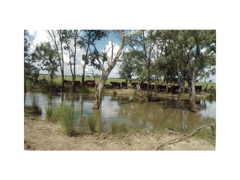 0 OLD SURAT ROAD, Bungil QLD 4455