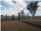 0 OLD SURAT ROAD, Bungil QLD 4455