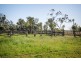 75 WAROOBY LANE, Roma QLD 4455