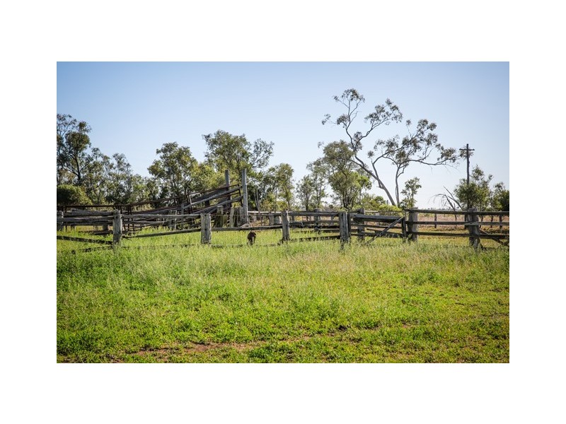 75 WAROOBY LANE, Roma QLD 4455