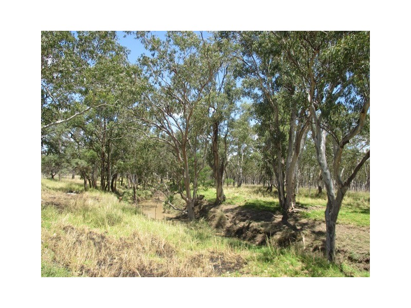 8465 CARNARVON HIGHWAY, Injune QLD 4454