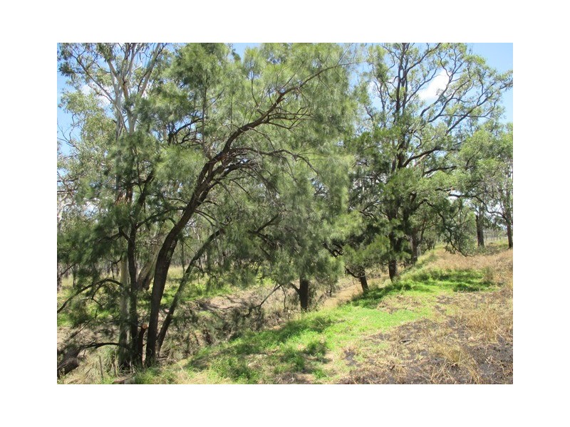 8465 CARNARVON HIGHWAY, Injune QLD 4454