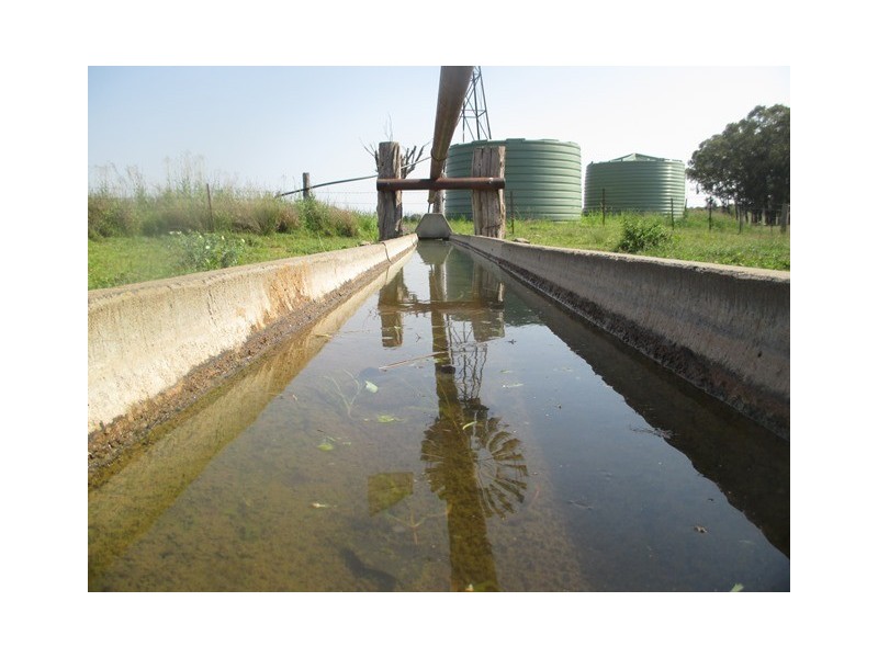 1406 WAROONGA CORNWALL ROAD, Amby QLD 4462