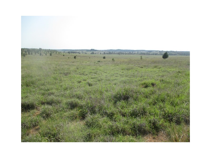 1406 WAROONGA CORNWALL ROAD, Amby QLD 4462