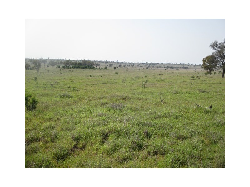 1406 WAROONGA CORNWALL ROAD, Amby QLD 4462