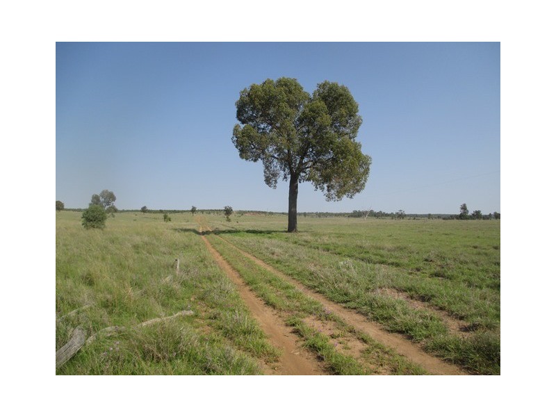 1406 WAROONGA CORNWALL ROAD, Amby QLD 4462