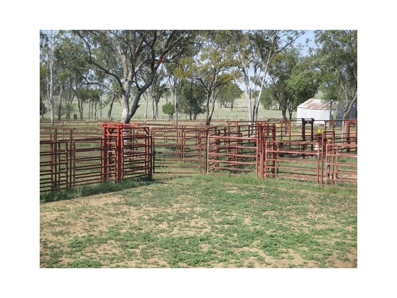 1406 WAROONGA CORNWALL ROAD, Amby QLD 4462