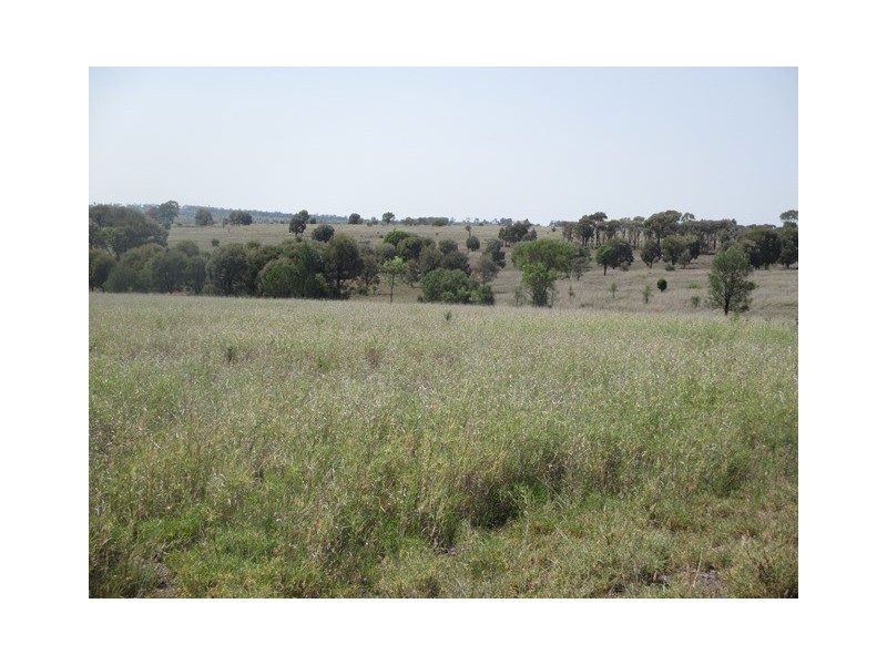 1406 WAROONGA CORNWALL ROAD, Amby QLD 4462