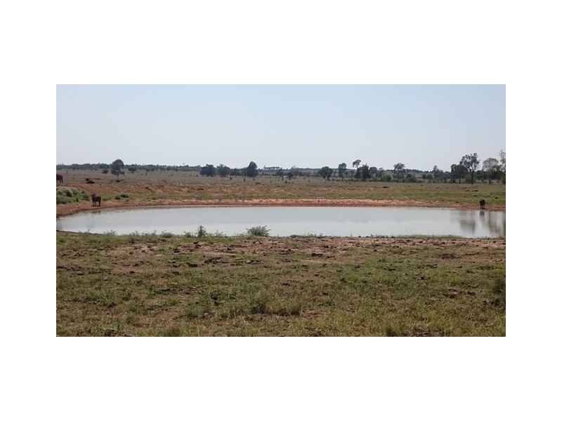 1406 WAROONGA CORNWALL ROAD, Amby QLD 4462