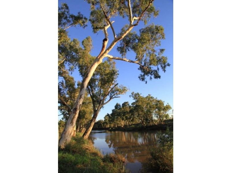 1942 SEVENTEEN MILE LANE, Roma QLD 4455