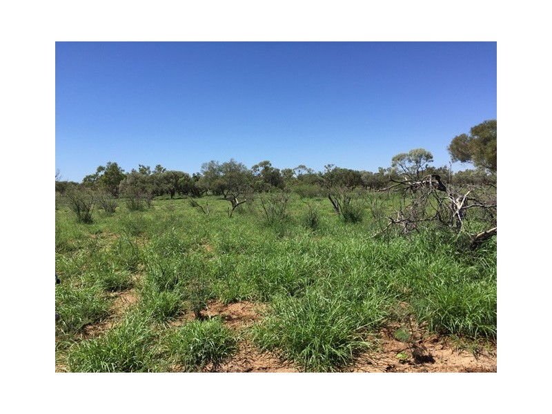 4722 EMMET-YARAKA ROAD, Isisford QLD 4731