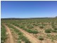 4722 EMMET-YARAKA ROAD, Isisford QLD 4731