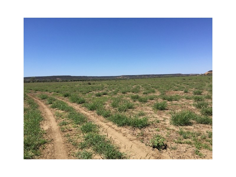 4722 EMMET-YARAKA ROAD, Isisford QLD 4731