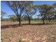 4722 EMMET-YARAKA ROAD, Isisford QLD 4731