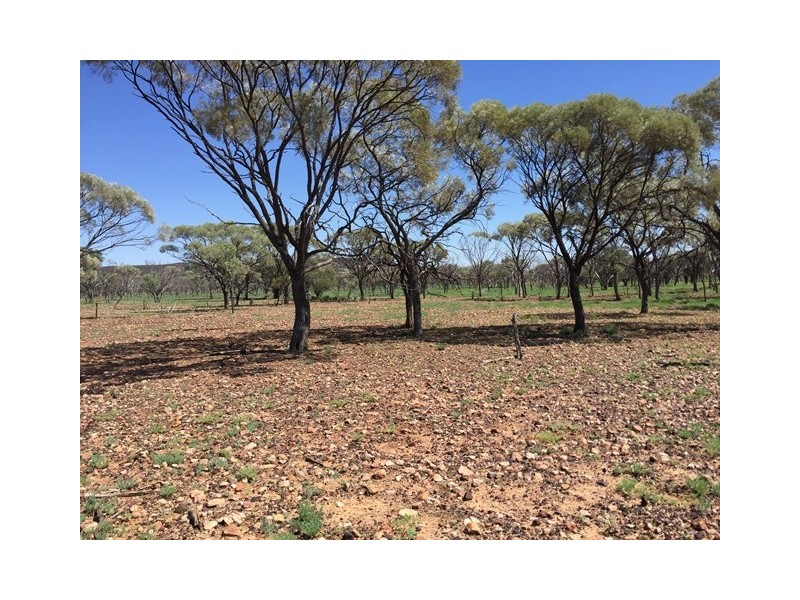 4722 EMMET-YARAKA ROAD, Isisford QLD 4731