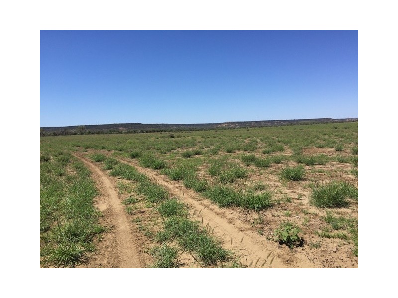 4722 EMMET-YARAKA ROAD, Isisford QLD 4731