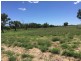 4722 EMMET-YARAKA ROAD, Isisford QLD 4731
