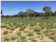 4722 EMMET-YARAKA ROAD, Isisford QLD 4731