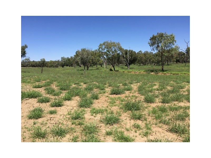 4722 EMMET-YARAKA ROAD, Isisford QLD 4731
