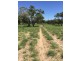 4722 EMMET-YARAKA ROAD, Isisford QLD 4731