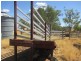 439 Freemans Road, Roma QLD 4455